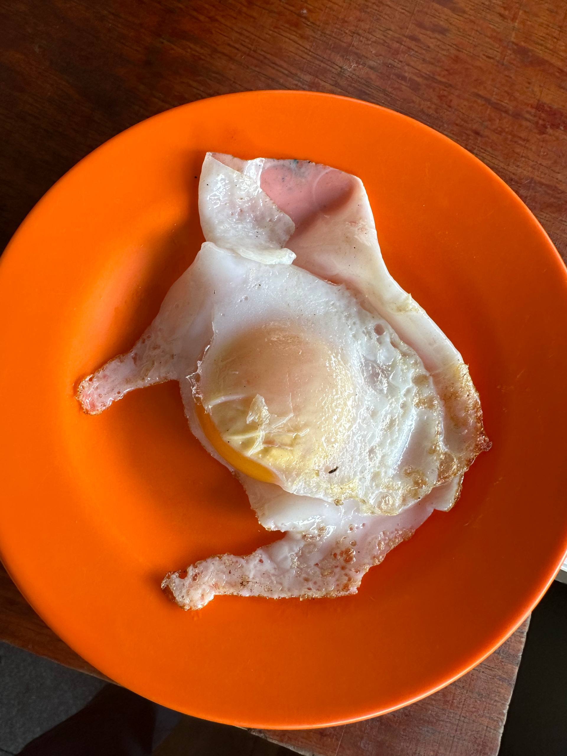 ពងទា